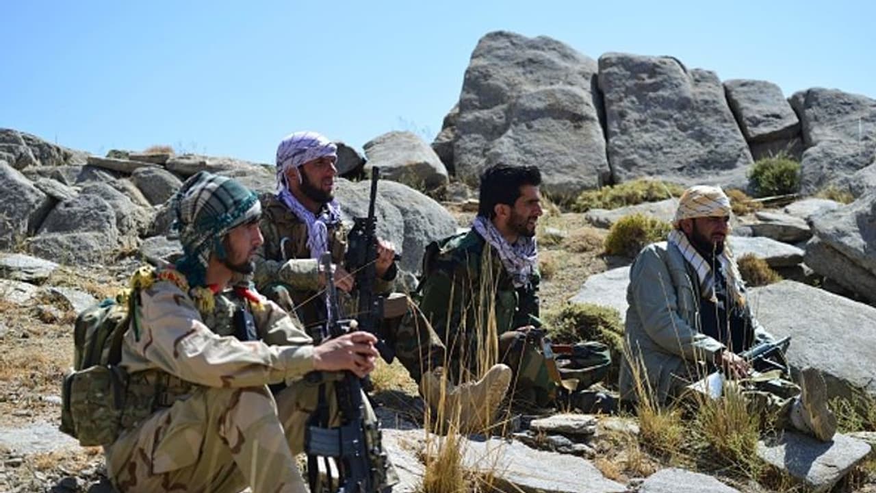 Al Qaeda's global jihad Al Qaeda's global jihad