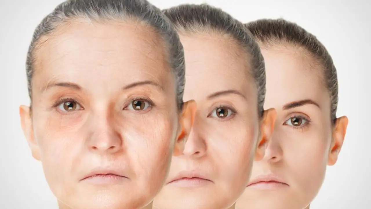 anti aging anti aging