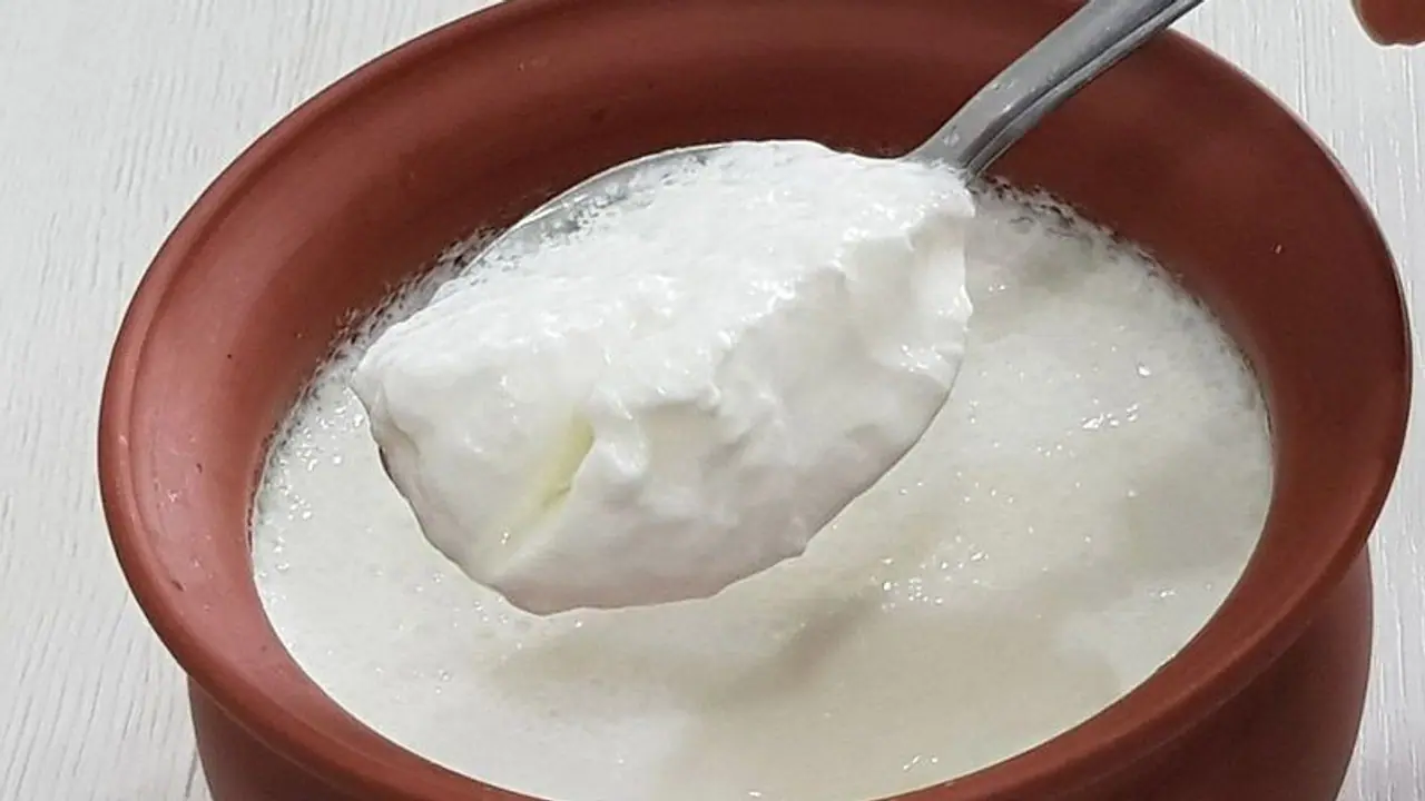 curd curd