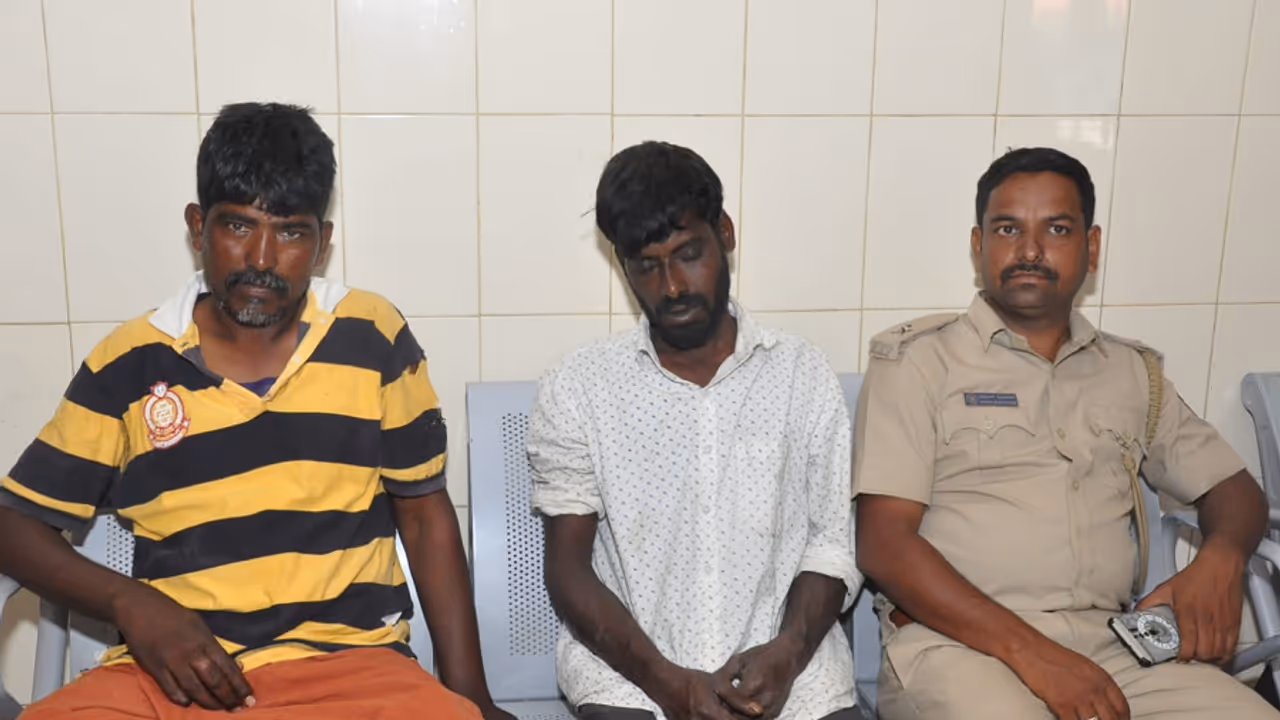 MM Hills Tiger Death