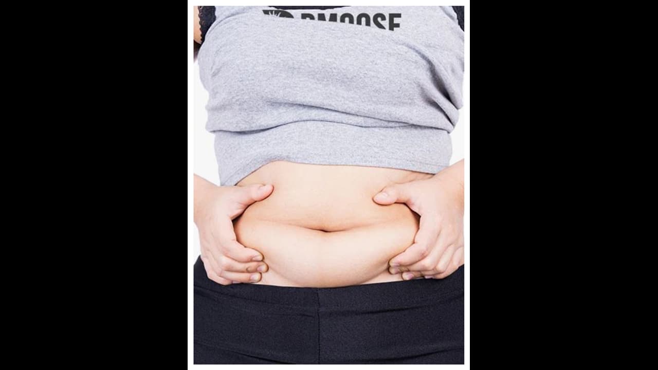 belly fat belly fat