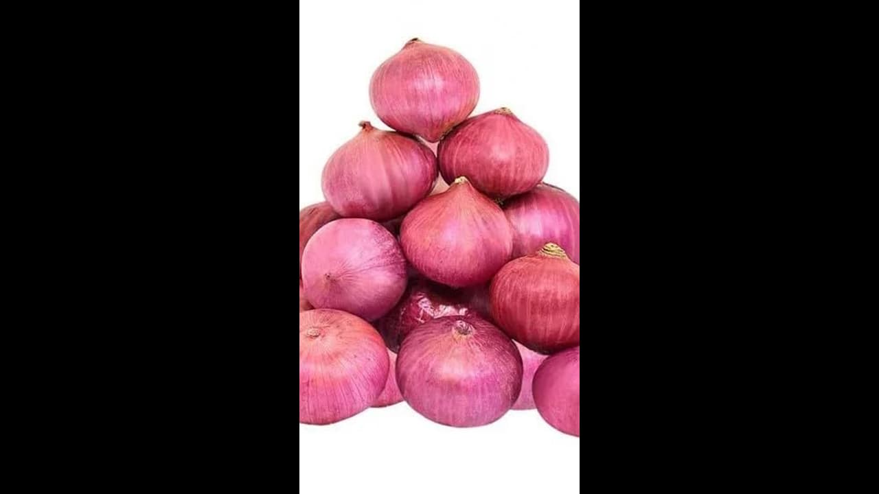 onion.j onion.j