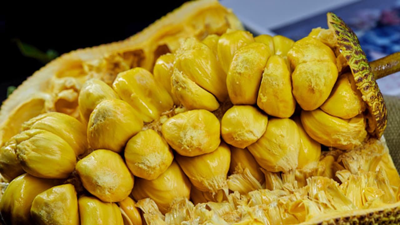 Jackfruit Jackfruit