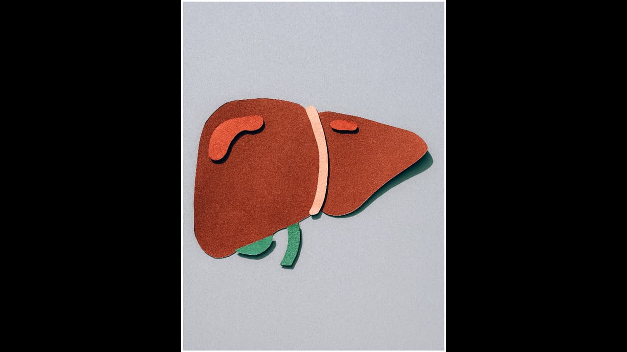 liver health liver health