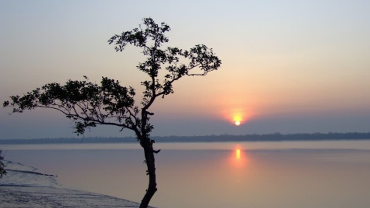 SUNDERBAN SUNDERBAN