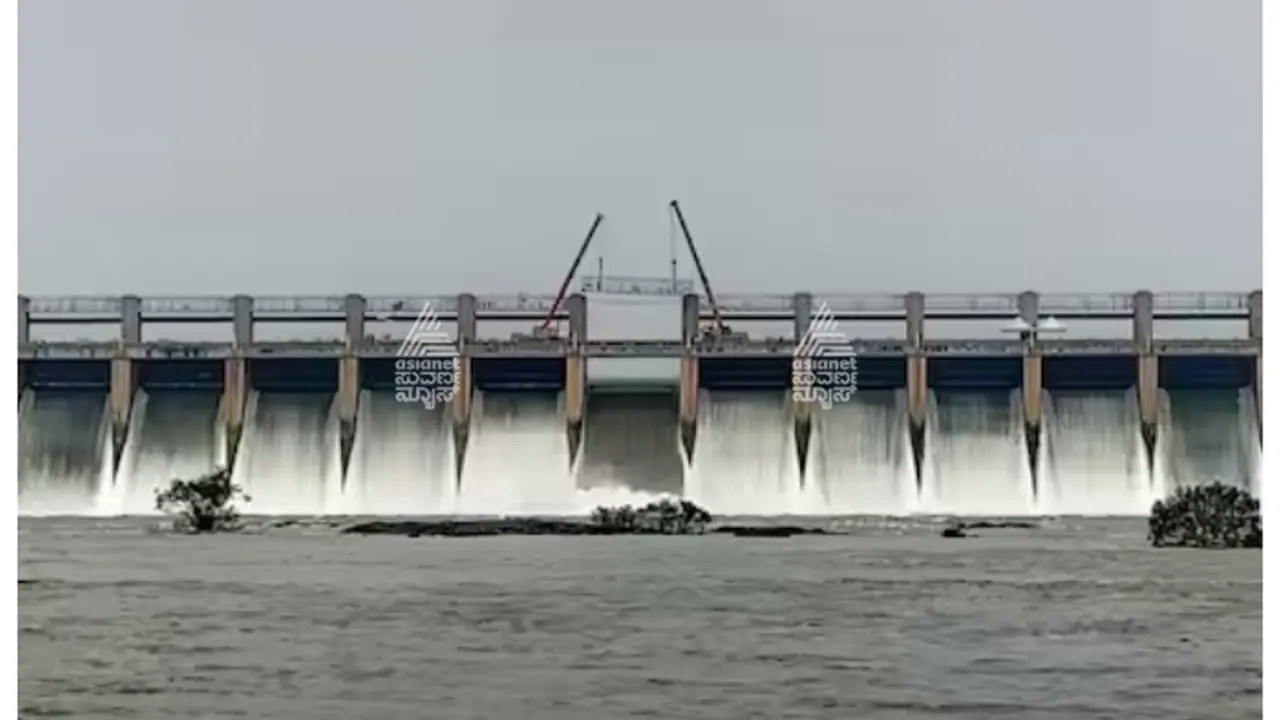tungabhadra dam gate