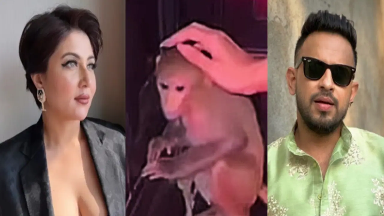 monkey swastika mukherjee anindya chatterjee 