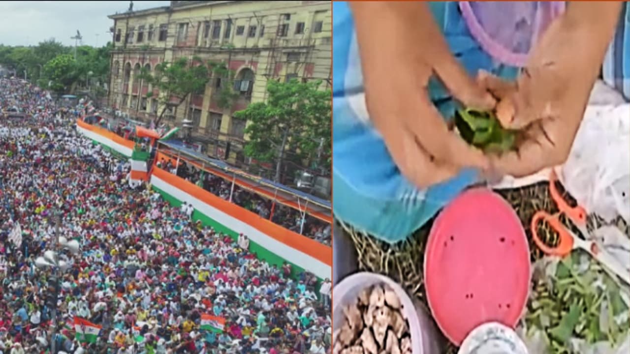 tmc meeting tmc meeting