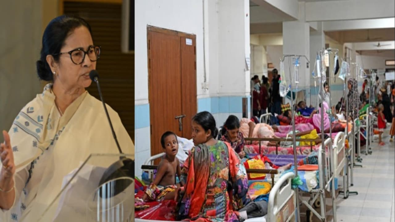 mamata banerjee dengue mamata banerjee dengue
