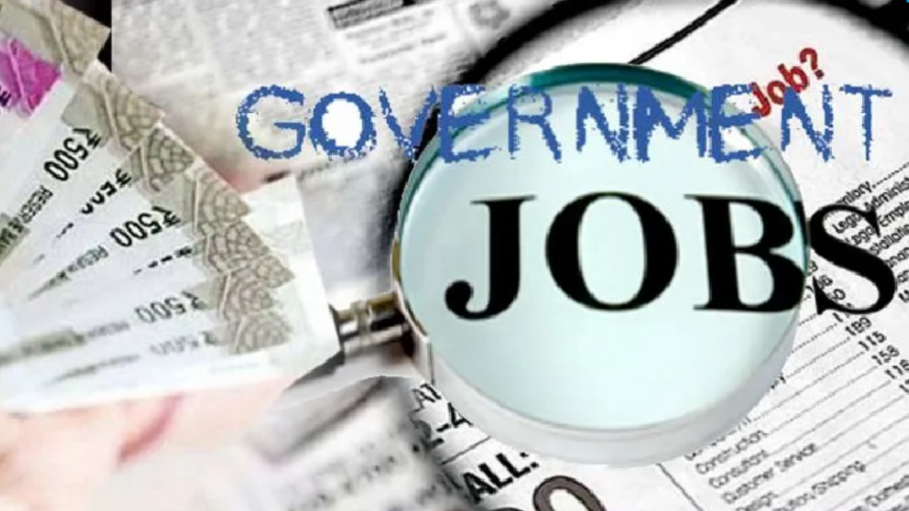 Government Job Government Job