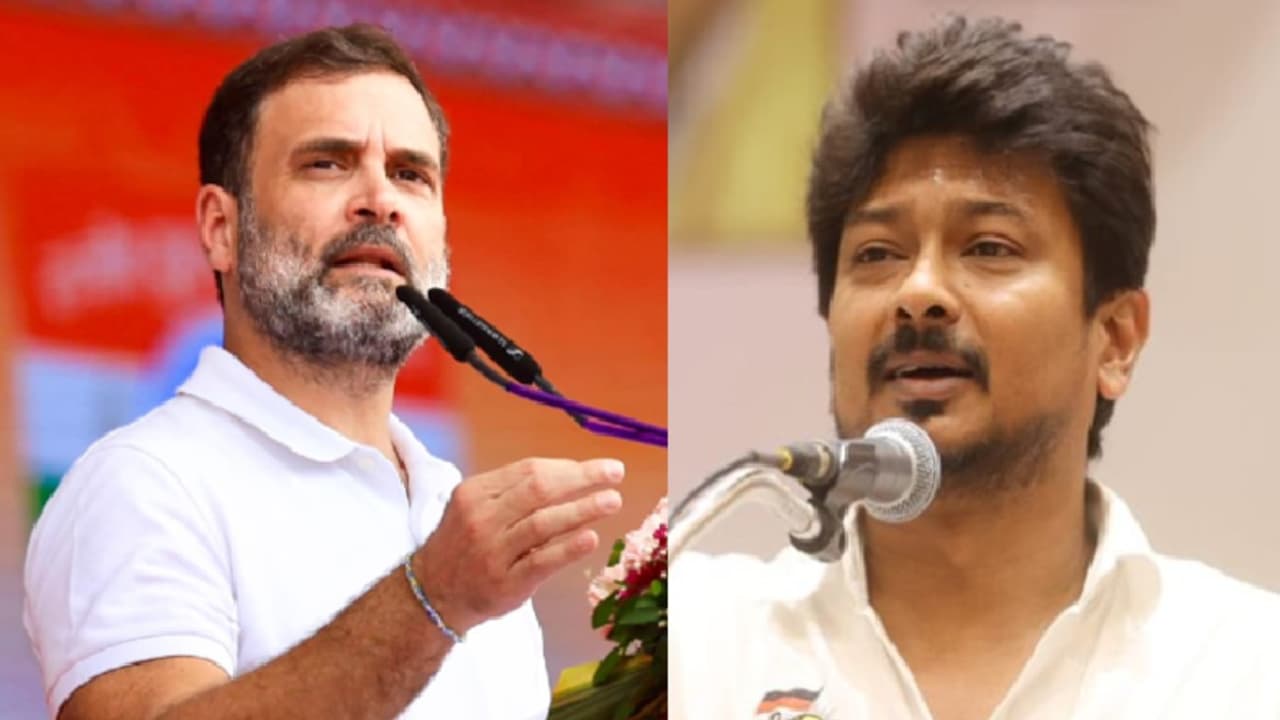 rahul gandhi and udhayanidhi stalin rahul gandhi and udhayanidhi stalin