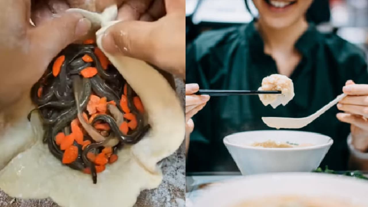 live worms inside momos live worms inside momos