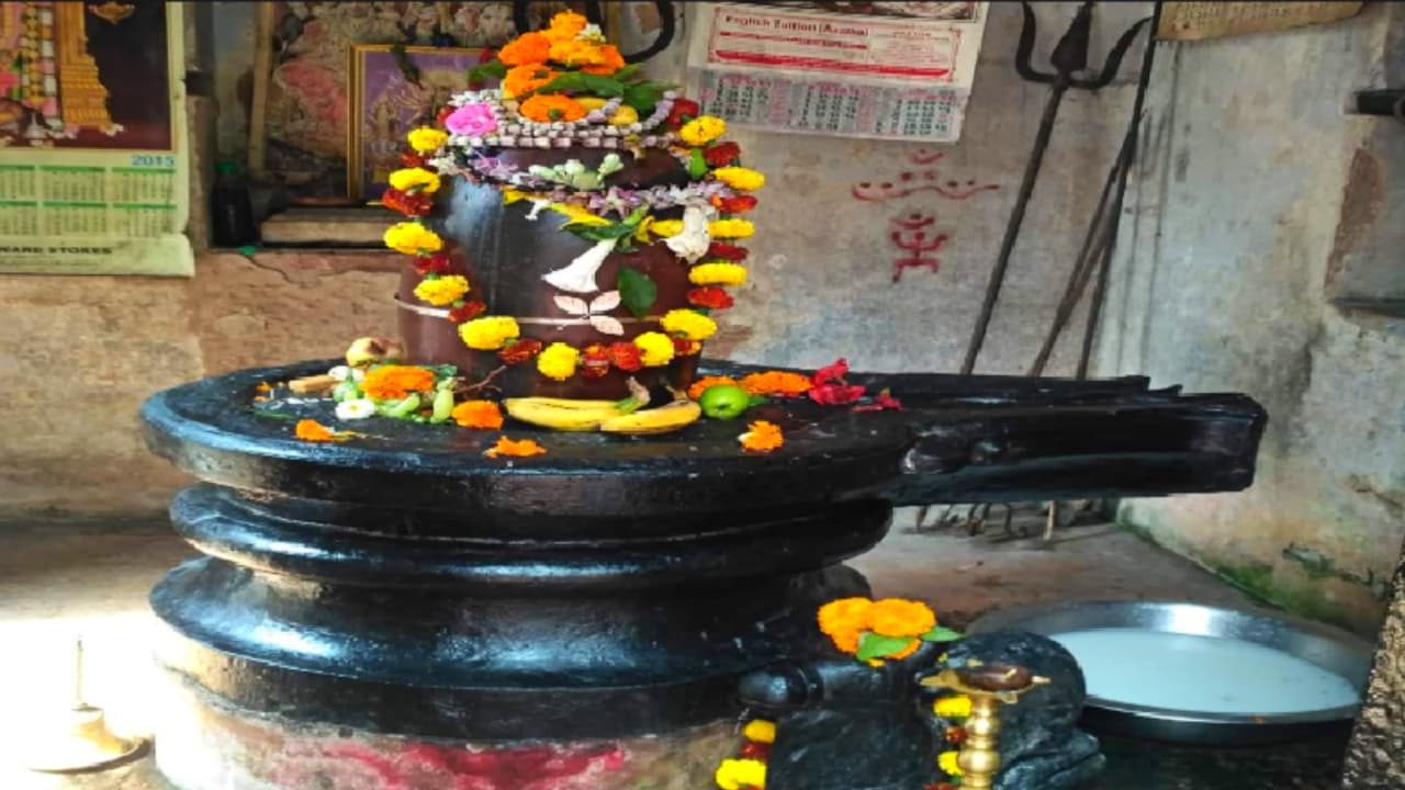 maha shivratri maha shivratri