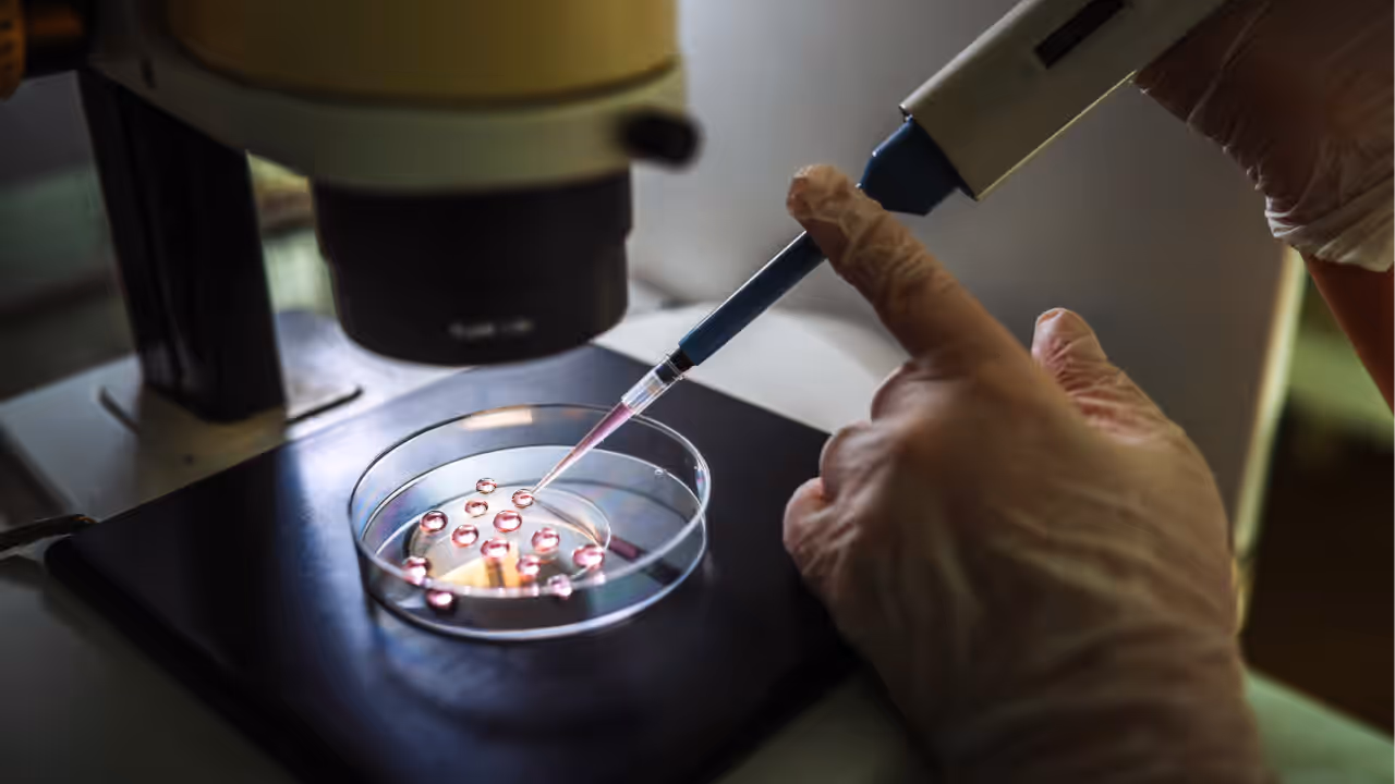 IVF treatment IVF treatment