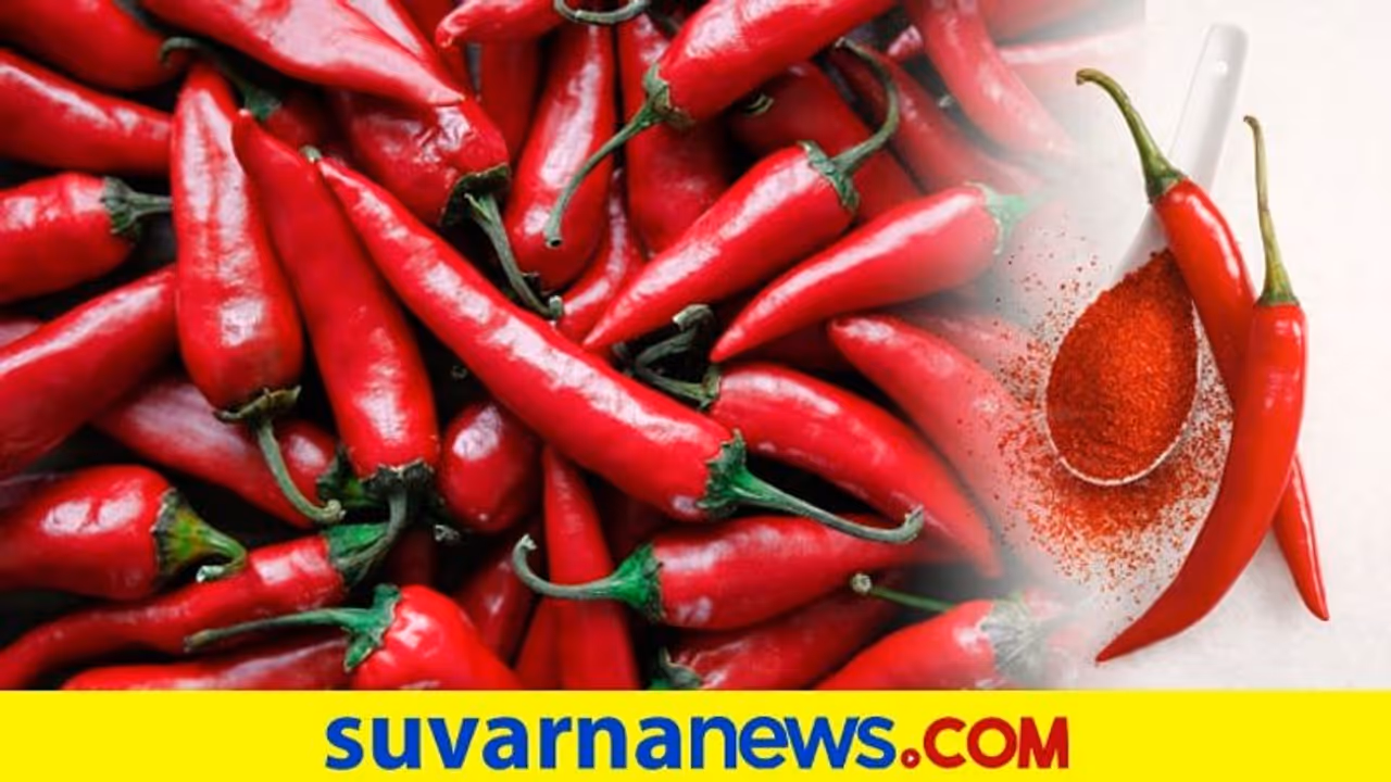 Red chilly Red chilly