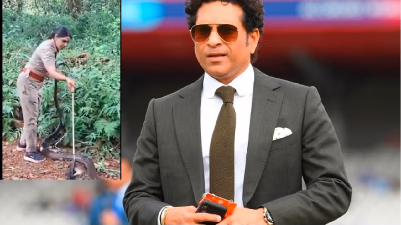 sachin tendulkar kobra sachin tendulkar kobra