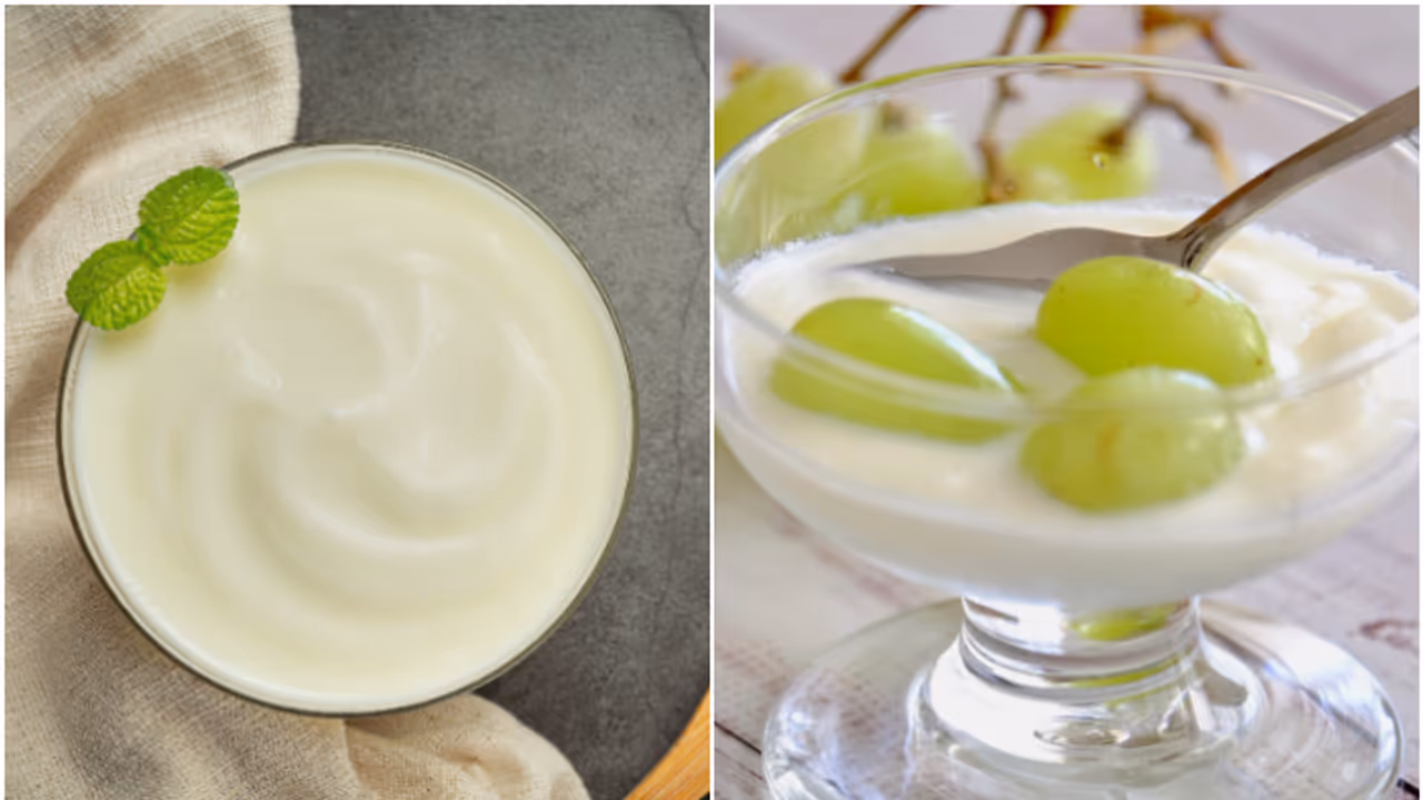 yogurt and curd