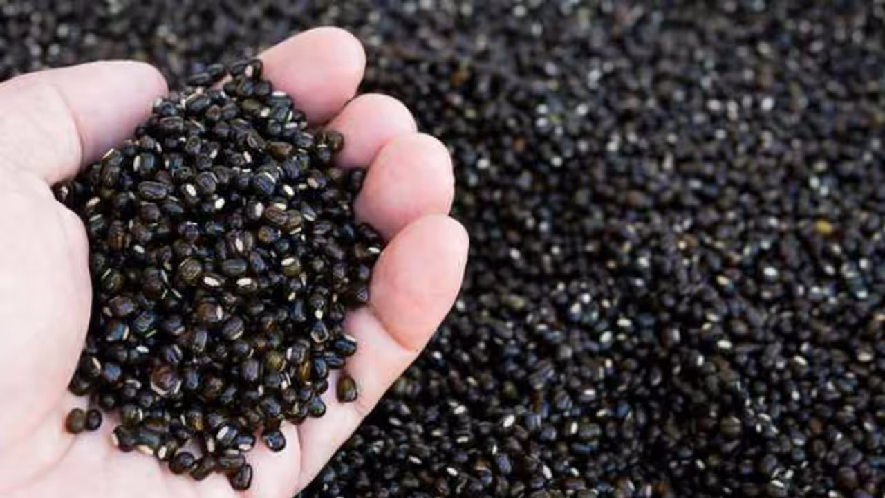 black urad dal black urad dal