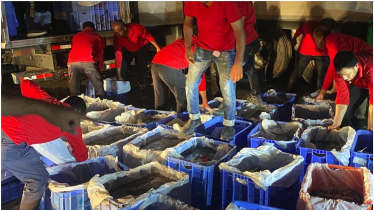 10 tons of spoiled fish and shrimp were seized in kuwait 10 tons of spoiled fish and shrimp were seized in kuwait