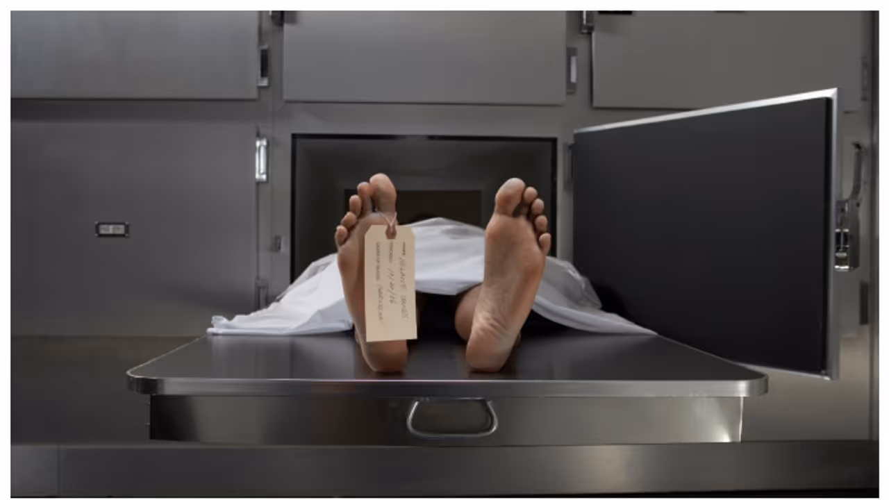 dead body dead body