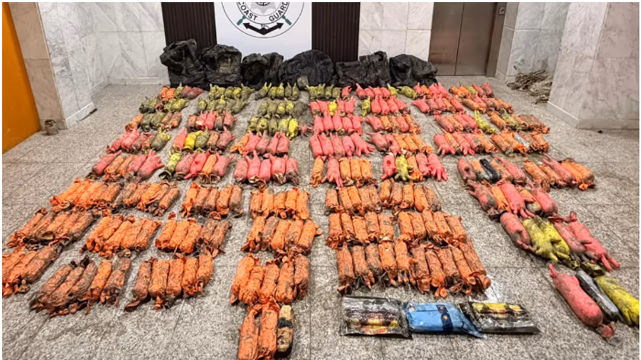 drugs seized drugs seized