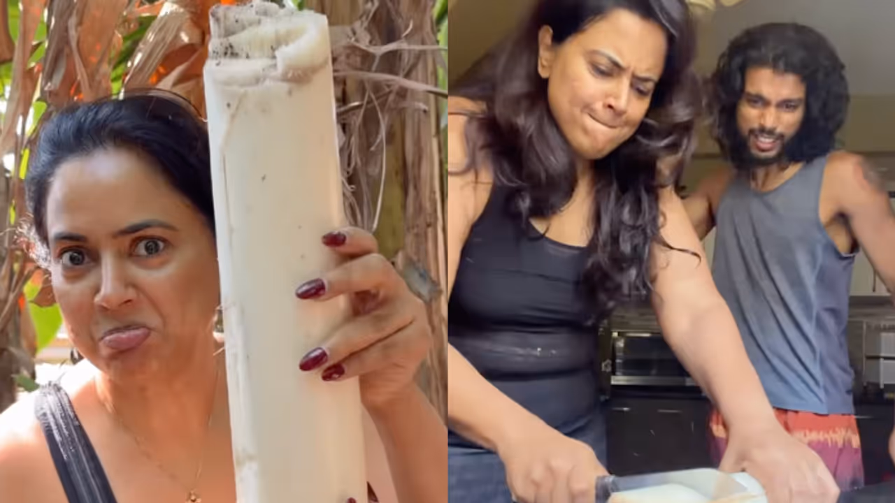 Sameera Reddy Sameera Reddy