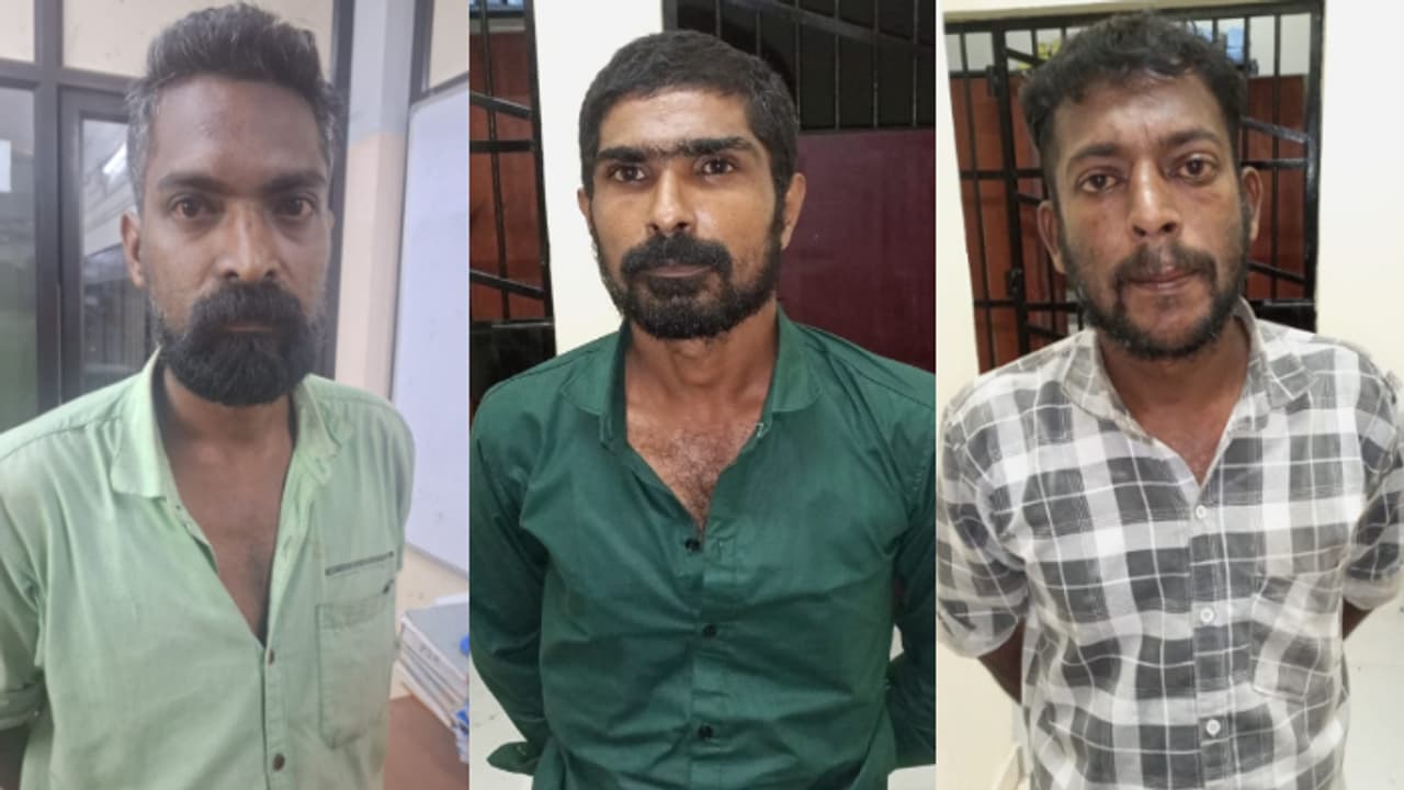 theft case theft case