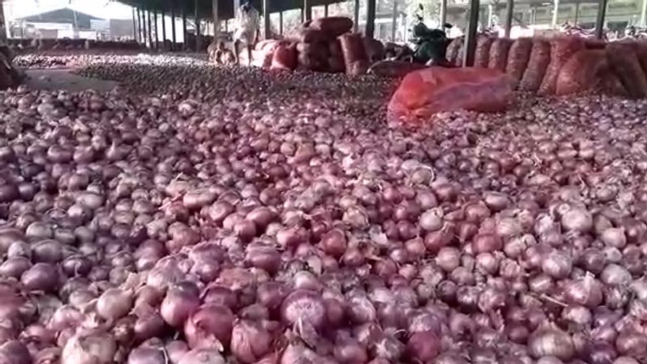 Onion farmers in Kurnool happy as stock sells at High price Onion farmers in Kurnool happy as stock sells at High price