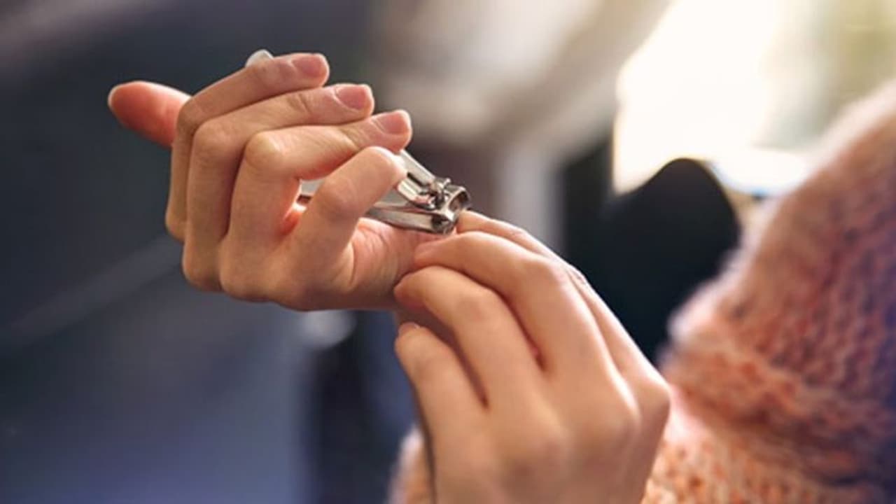 image of nail cutter