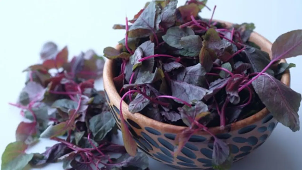 Image of Red spinach
