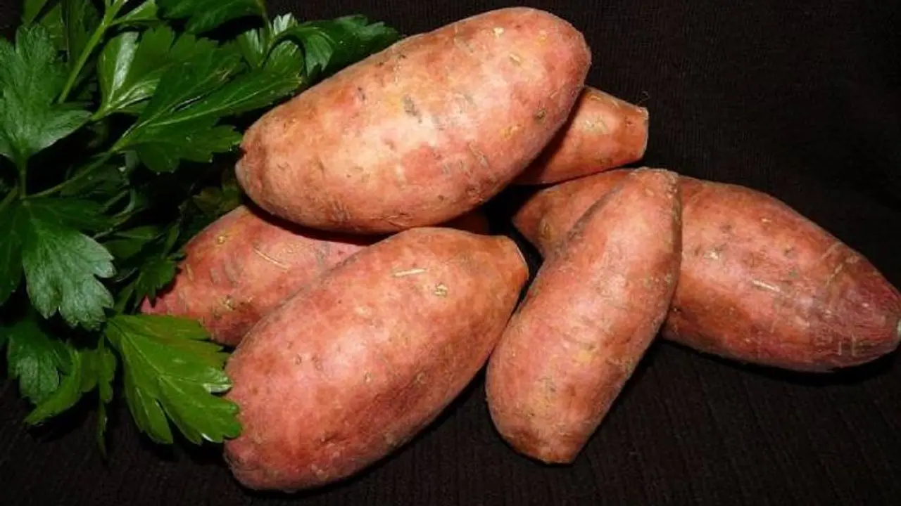 sweet potato