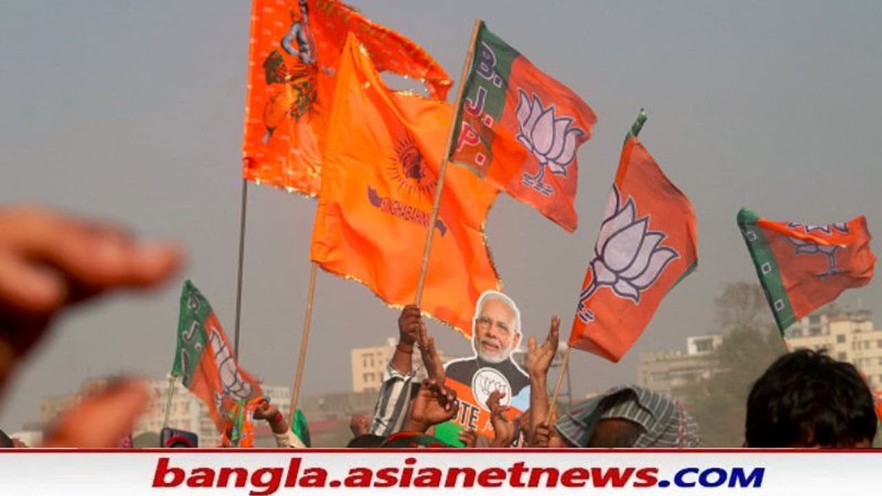 BJP Flag BJP Flag