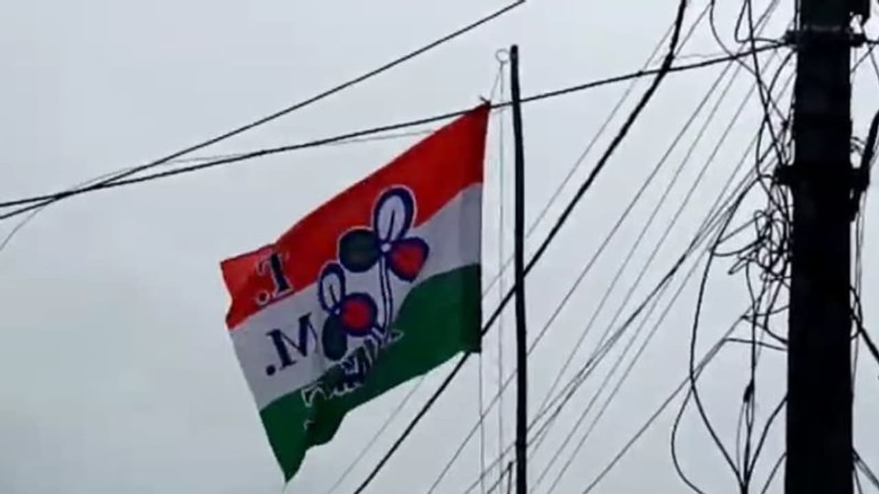 TMC flag TMC flag