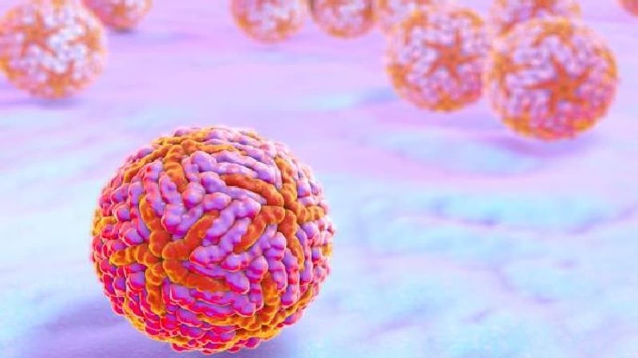 Zika Virus 3 Zika Virus 3