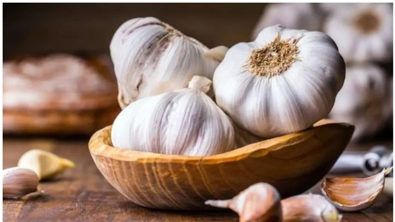 Garlic