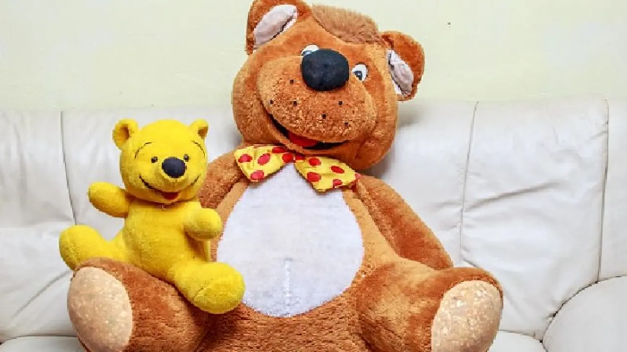 Teddy Day Teddy Day