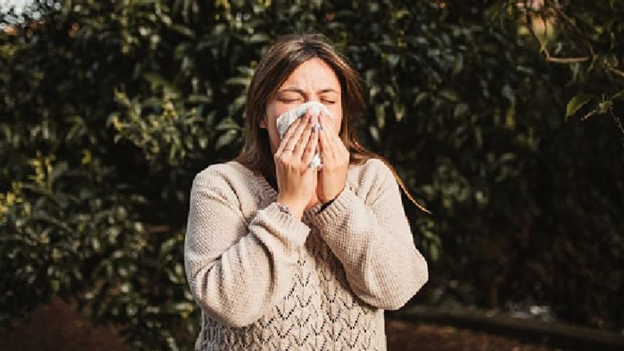 dust allergy dust allergy