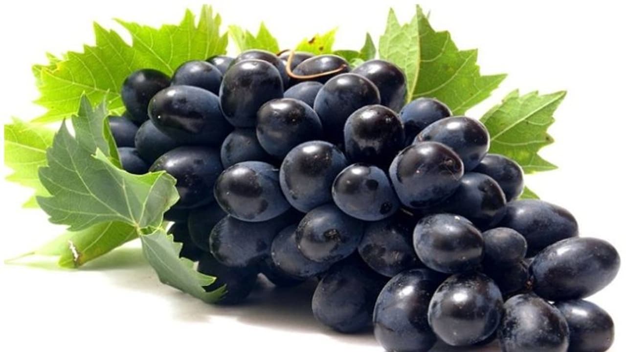 Black grapes Black grapes