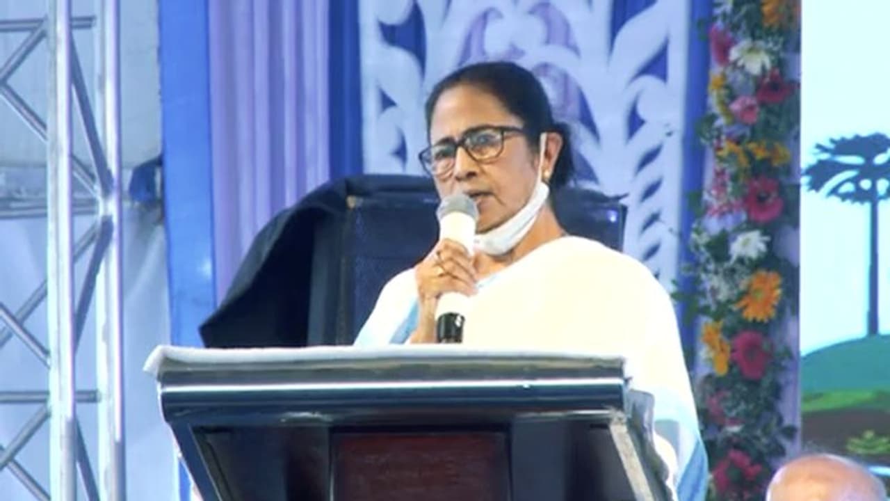 MAMATA BANERJEE MAMATA BANERJEE