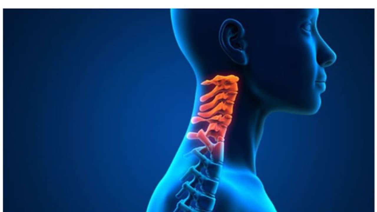 World Head and Neck Cancer Day World Head and Neck Cancer Day