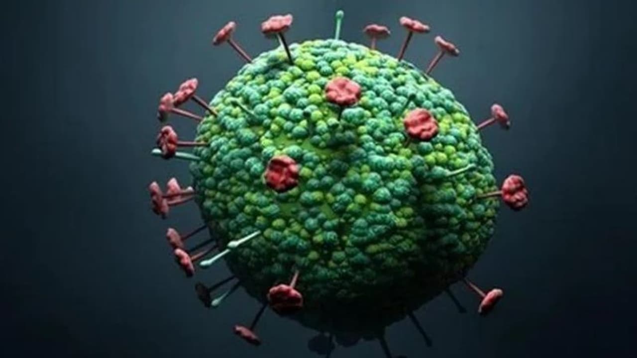 virus virus