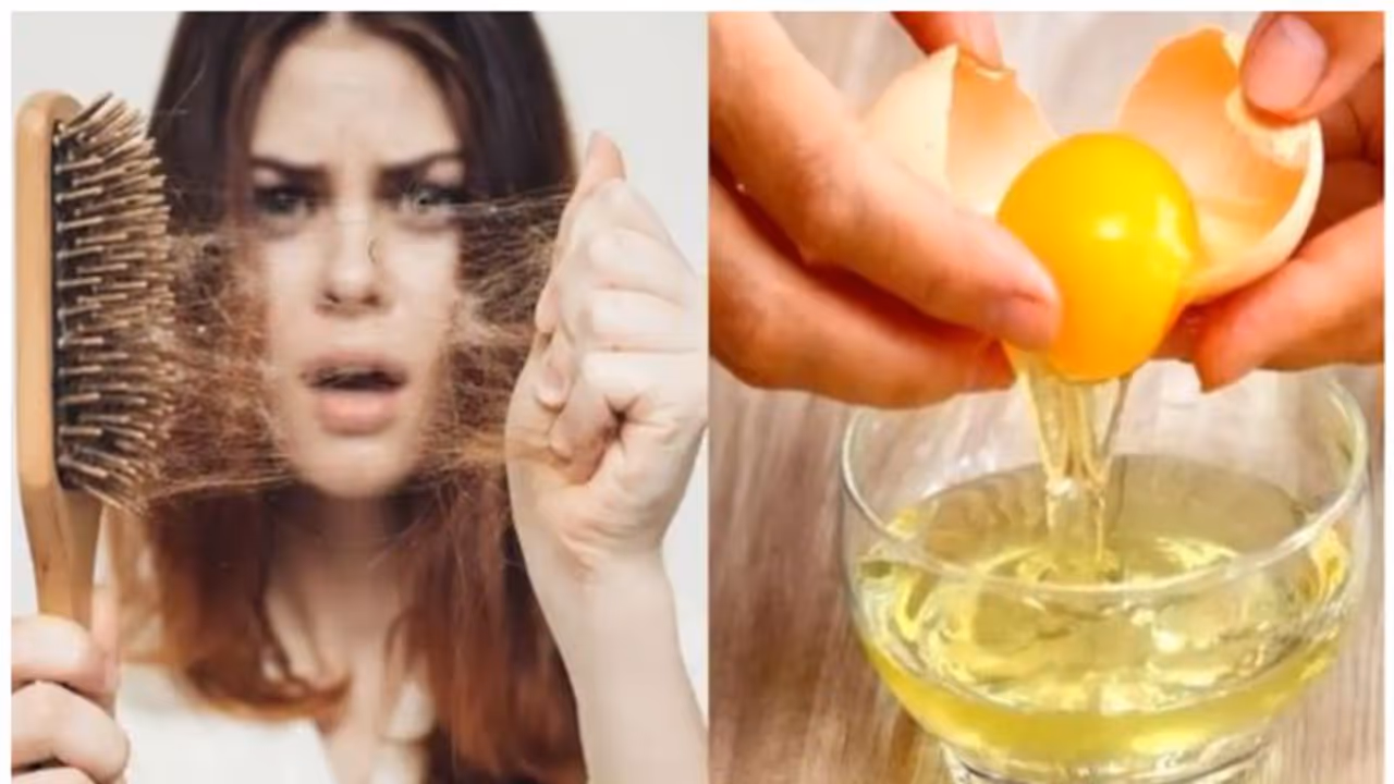 egg hair pack egg hair pack