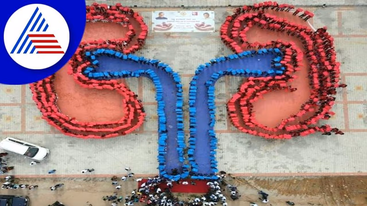 World Organ Donation Day World Organ Donation Day