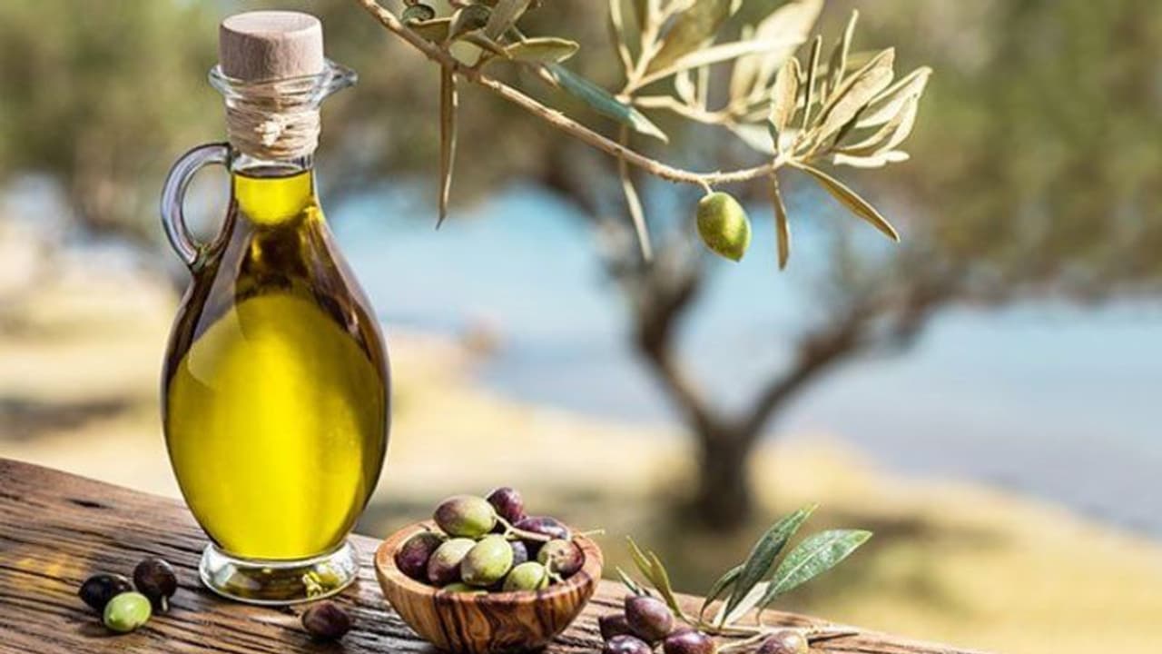 olive oil olive oil