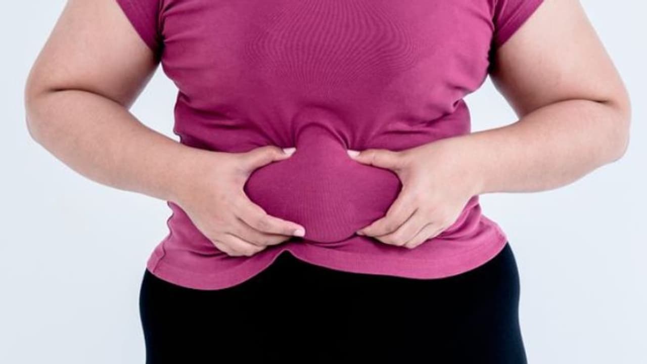 belly fat belly fat