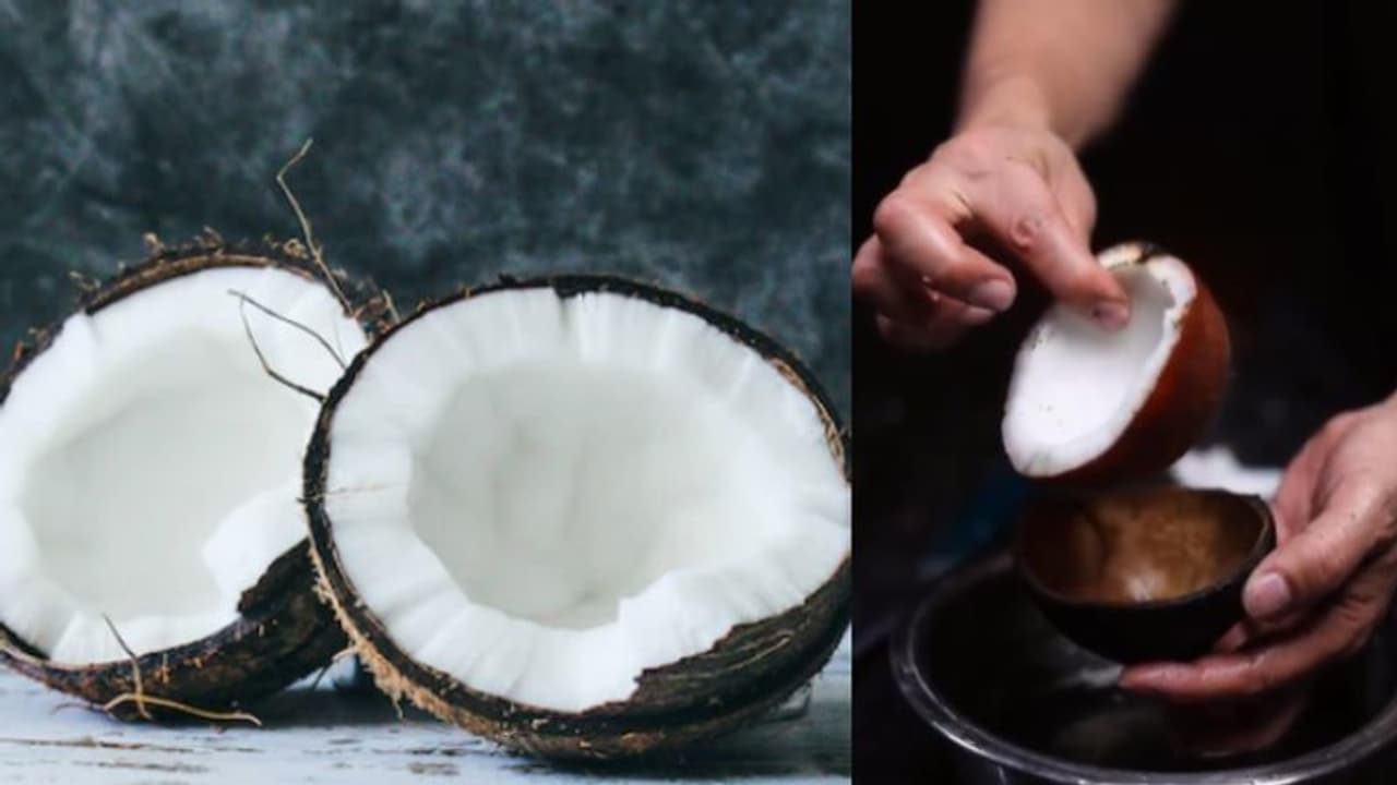coconut coconut