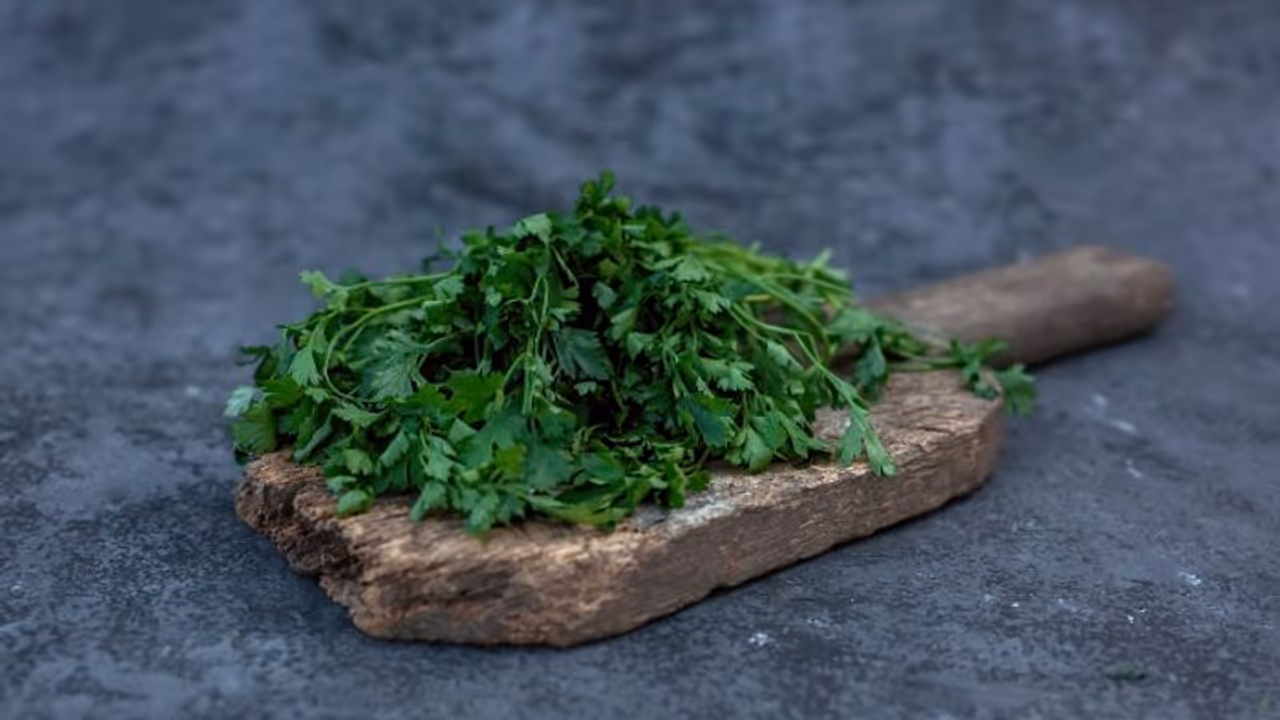coriander leaves coriander leaves