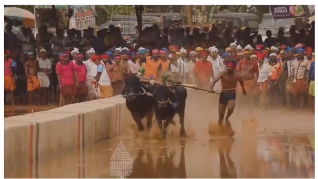 Karnataka State Kambala Association