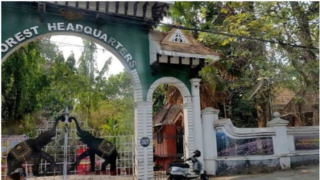 Forest department Forest department