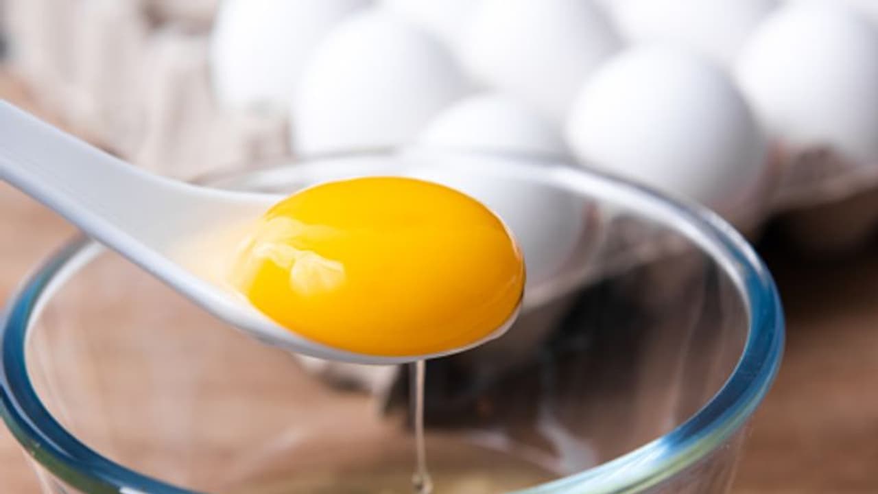 egg yolk egg yolk